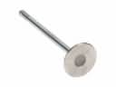 Exhaust Valve